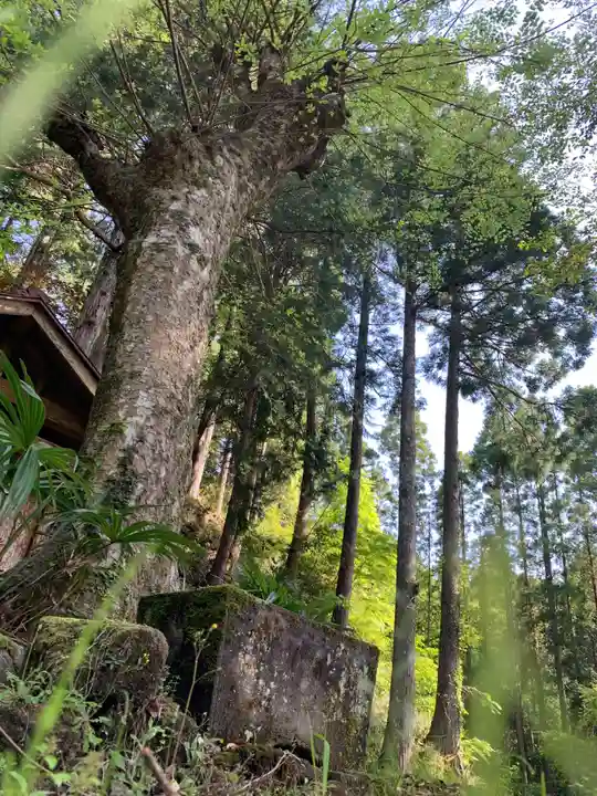 天照神社のその他建物