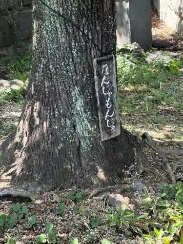 深大寺(東京都)