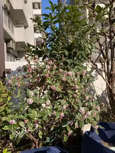 高輪神社(東京都)