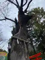 新田神社(東京都)