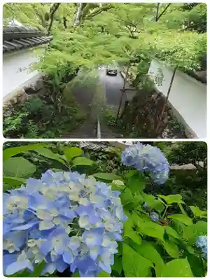 神藏寺(京都府)