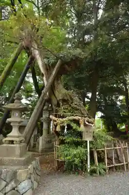 川尻八幡宮(神奈川県)