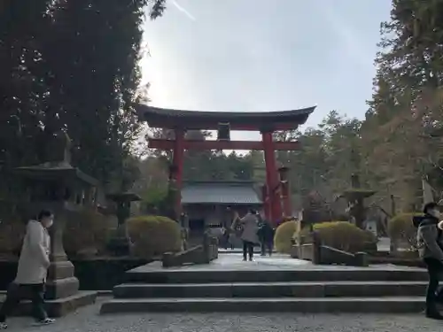 北口本宮冨士浅間神社の鳥居