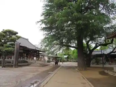 新井薬師（梅照院）のその他建物