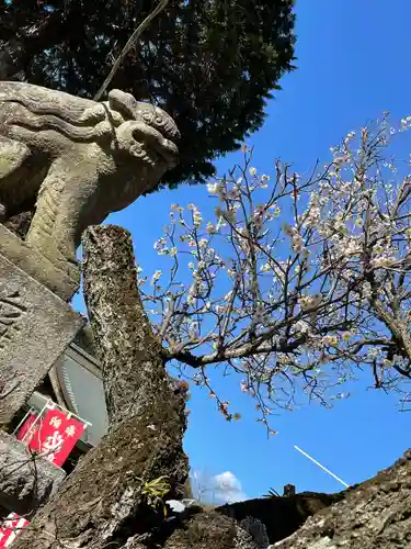 大生郷天満宮の狛犬