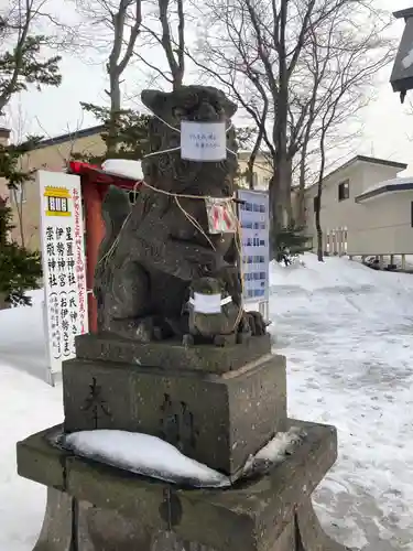 星置神社の狛犬