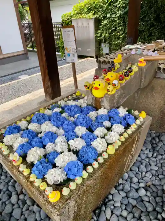 くろ谷 金戒光明寺の手水舎