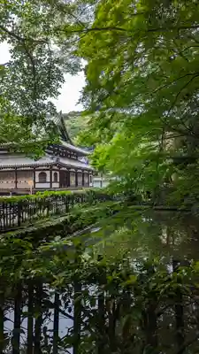 御寺 泉涌寺(京都府)
