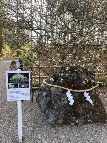 芳賀天満宮(栃木県)