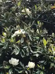 検見川神社の自然