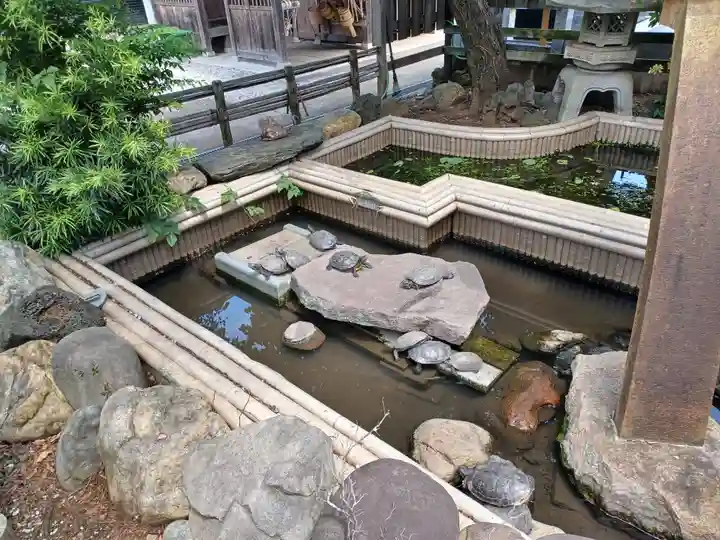 徳林寺(埼玉県)