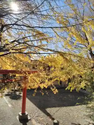雷神社(神奈川県)