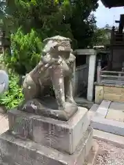 荒井神社の狛犬