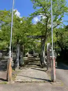天鷹神社(岐阜県)(2026年05月31日(日) 00時15分50秒投稿)