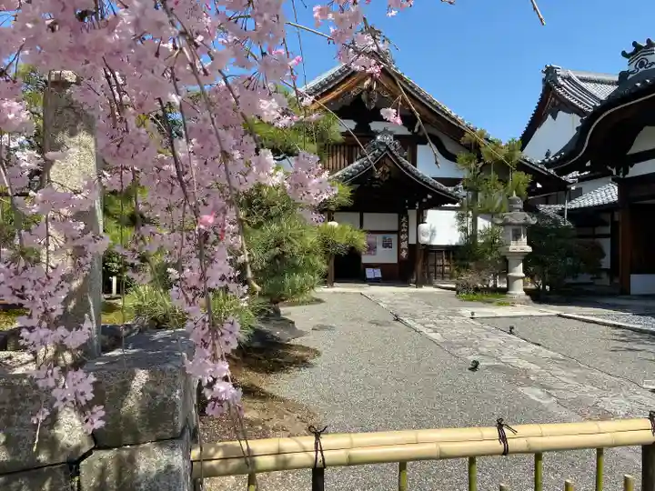 妙顯寺(妙顕寺)(京都府)