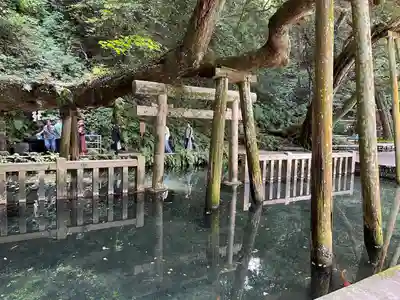 鹿島神宮(茨城県)