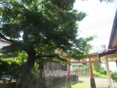 出流神社(埼玉県)