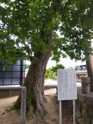 金山彦神社(福井県)