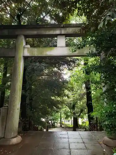 渋谷氷川神社の鳥居