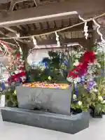 金蛇水神社の{uncategorized: "未分類", other: "その他", undefined: "問題あり", building: "その他建物", grave: "お墓", sacred_gate: "鳥居", guardian: "狛犬", statue: "像", buddha: "仏像", history: "歴史", nature: "自然", garden: "庭園", animal: "動物", pagoda: "塔", temizu: "手水舎", mountain_gate: "山門・神門", sanctuary: "本殿・本堂", subordinate: "末社・摂社", art: "芸術", scenery: "景色", jizo: "地蔵", ema: "絵馬", goshuin: "御朱印", omikuji: "おみくじ", items: "授与品その他", amulet: "お守り", goshuincho: "御朱印帳", eats: "食事", festival: "お祭り", votive_dance: "神楽", shichigosan: "七五三参", wedding: "結婚式", experience: "体験その他", initially: "初詣", around: "周辺", anti_infection: "感染症対策"}