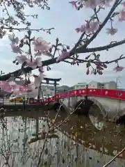 青井阿蘇神社(熊本県)