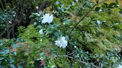 稗田野神社(薭田野神社)(京都府)