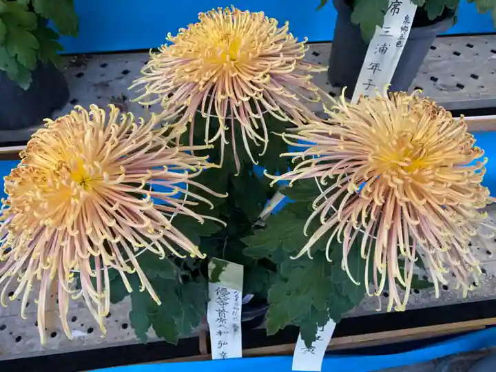 湯島天満宮の庭園