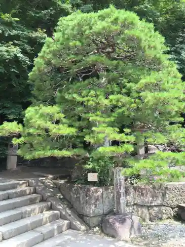 宝珠山 立石寺の庭園