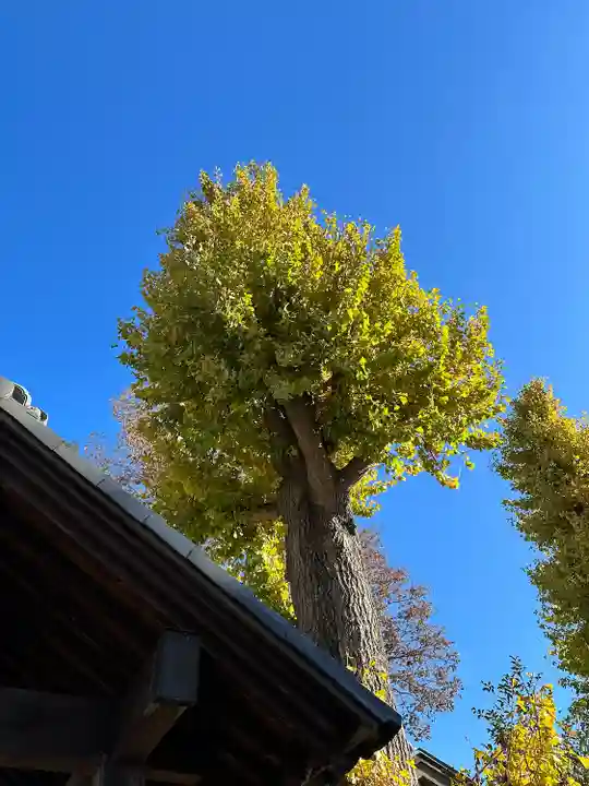 小野神社(東京都)