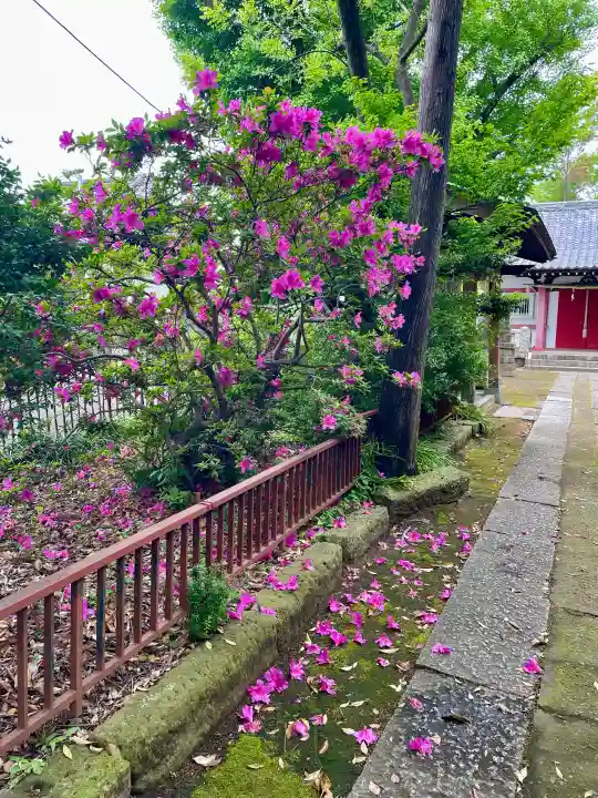 船方神社の{uncategorized: "未分類", other: "その他", undefined: "問題あり", building: "その他建物", grave: "お墓", sacred_gate: "鳥居", guardian: "狛犬", statue: "像", buddha: "仏像", history: "歴史", nature: "自然", garden: "庭園", animal: "動物", pagoda: "塔", temizu: "手水舎", mountain_gate: "山門・神門", sanctuary: "本殿・本堂", subordinate: "末社・摂社", art: "芸術", scenery: "景色", jizo: "地蔵", ema: "絵馬", goshuin: "御朱印", omikuji: "おみくじ", items: "授与品その他", amulet: "お守り", goshuincho: "御朱印帳", eats: "食事", festival: "お祭り", votive_dance: "神楽", shichigosan: "七五三参", wedding: "結婚式", experience: "体験その他", initially: "初詣", around: "周辺", anti_infection: "感染症対策"}