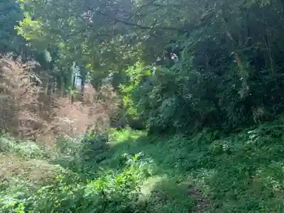 妙見神社の周辺