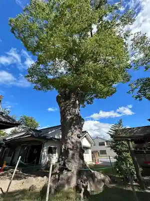 科野大宮社(長野県)