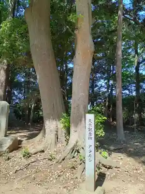 國王神社(茨城県)