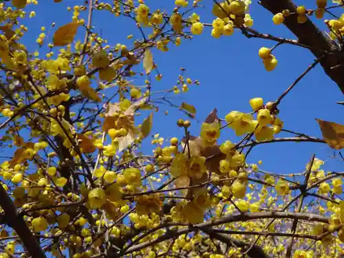 横浜　西方寺の自然