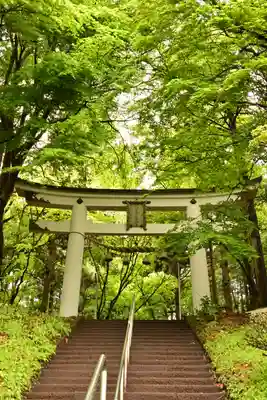 宝登山神社奥宮(埼玉県)
