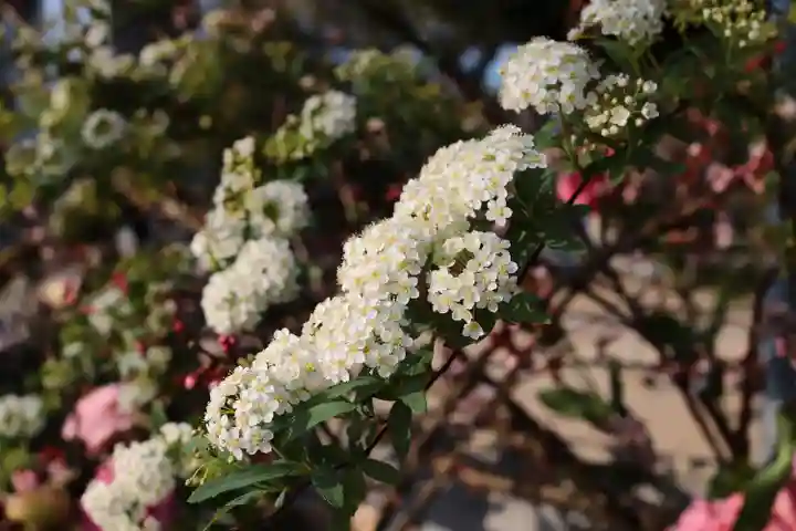 三津厳島神社(愛媛県)