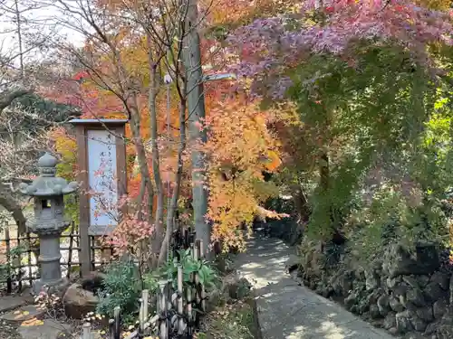 長盛山松久禅寺の景色