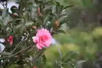 大鏑神社の庭園