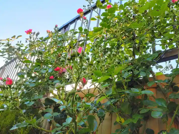 寿量山 速成寺の自然