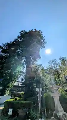 香取神宮(千葉県)