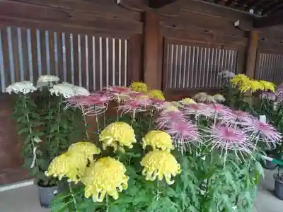 寒川神社(神奈川県)