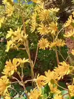 蓮華王院(三十三間堂)(京都府)