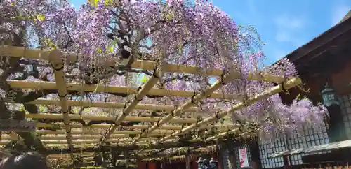 春日大社の周辺