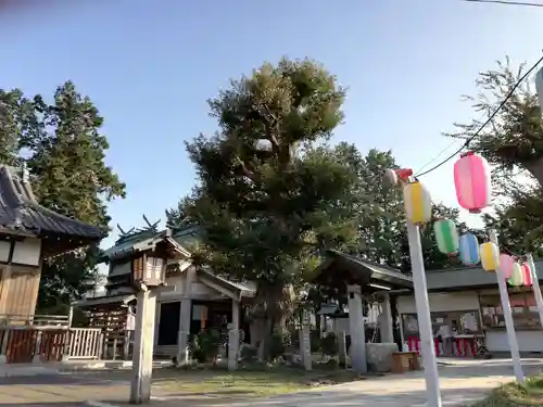 香取神社（旭町香取神社・大鳥神社）の自然