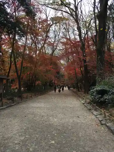 賀茂御祖神社（下鴨神社）の自然