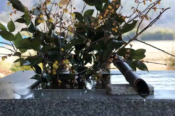 高司神社〜むすびの神の鎮まる社〜の手水舎