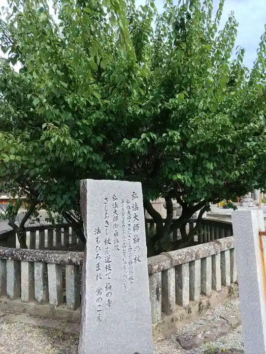 乙津寺 (鏡島弘法)(岐阜県)