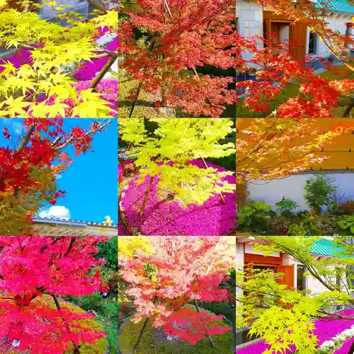 寿量山　速成寺の自然