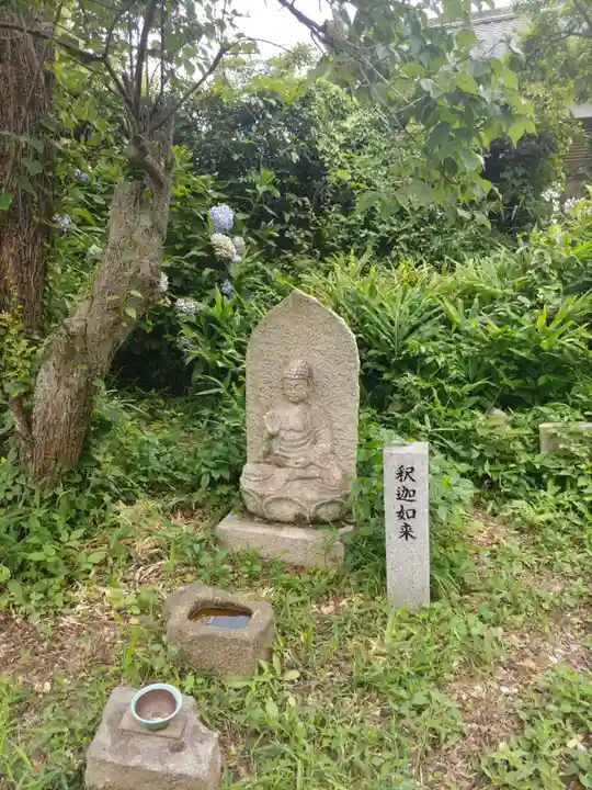 般若寺 ❁コスモス寺❁(奈良県)