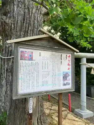 大宮神社の{uncategorized: "未分類", other: "その他", undefined: "問題あり", building: "その他建物", grave: "お墓", sacred_gate: "鳥居", guardian: "狛犬", statue: "像", buddha: "仏像", history: "歴史", nature: "自然", garden: "庭園", animal: "動物", pagoda: "塔", temizu: "手水舎", mountain_gate: "山門・神門", sanctuary: "本殿・本堂", subordinate: "末社・摂社", art: "芸術", scenery: "景色", jizo: "地蔵", ema: "絵馬", goshuin: "御朱印", omikuji: "おみくじ", items: "授与品その他", amulet: "お守り", goshuincho: "御朱印帳", eats: "食事", festival: "お祭り", votive_dance: "神楽", shichigosan: "七五三参", wedding: "結婚式", experience: "体験その他", initially: "初詣", around: "周辺", anti_infection: "感染症対策"}